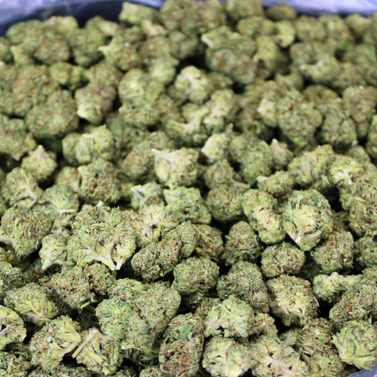 WHITE WIDOW THCA FLOWER