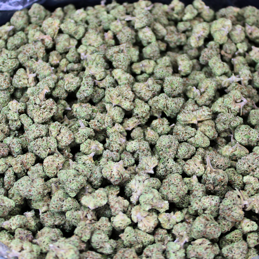 PURPLE PUNCH THCA FLOWER