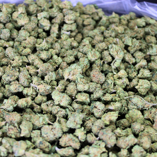 CEREAL MILK THCA FLOWER